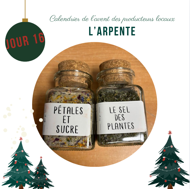 Calendrier de l'avent : Jour 16
