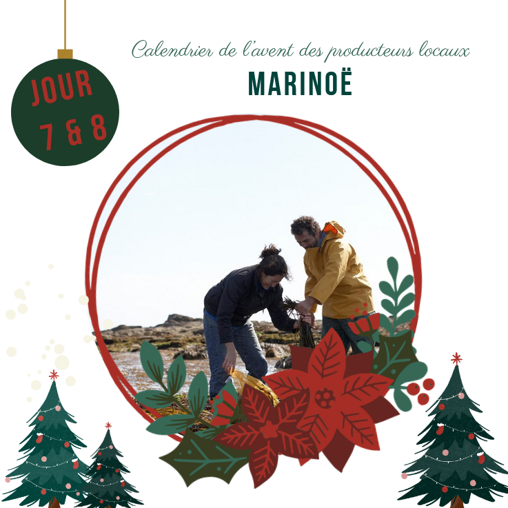 Calendrier de l'avent : Jour 7&8