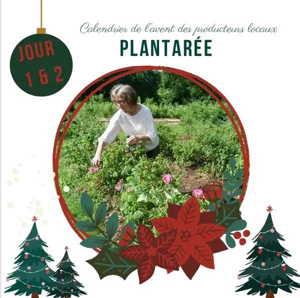 Calendrier de l'avent : Jour 1 & 2 