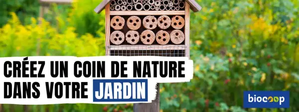 Le rayon cuisine s'installe au Chapeau Rouge !