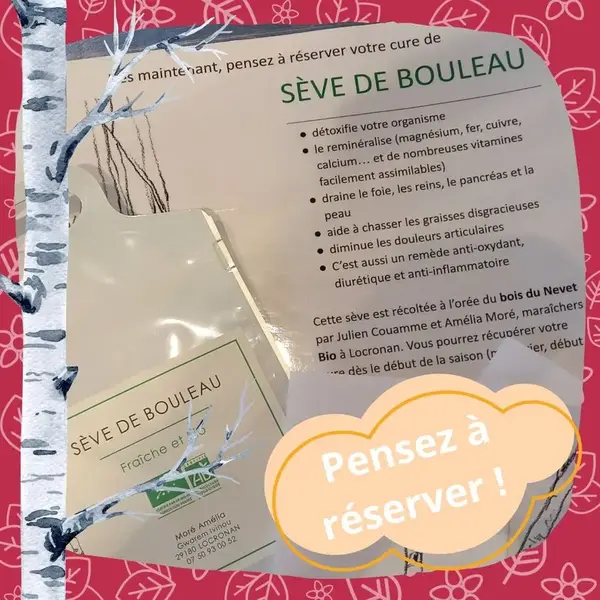 Cure de sève de bouleau 