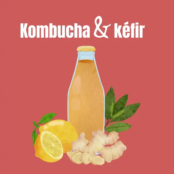 🌿 Kombuchas & kéfirs de saison : les saveurs de l’été sont arrivées ! 🌿 Kombuchas & kéfirs de saison : les saveurs de l’été sont arrivées !