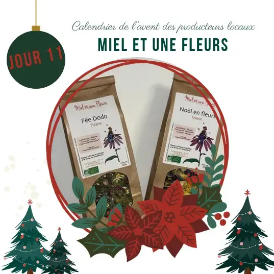 Calendrier de l'avent : Jour 11
