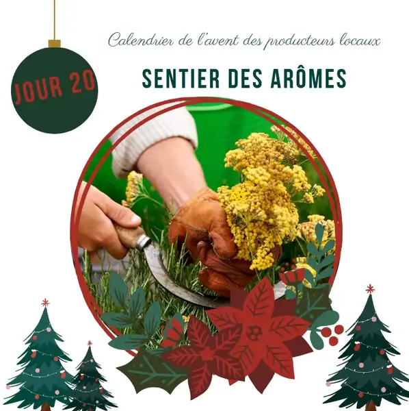 Calendrier de l'avent : Jour 20
