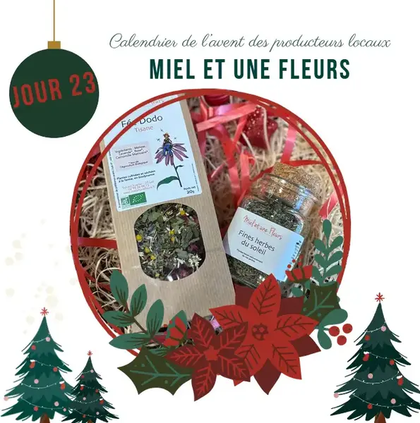 Calendrier de l'avent : Jour 23