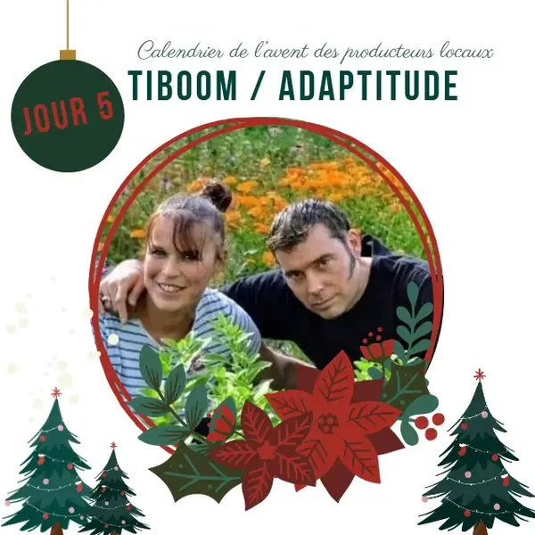 Calendrier de l'avent : Jour 5